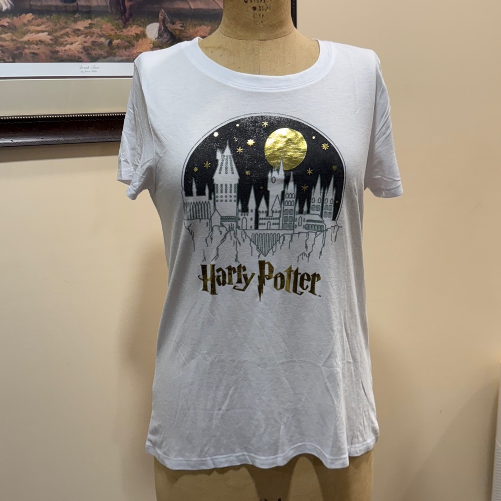 Harry Potter Hogwarts Castle at Night